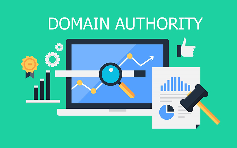 Domain Authority là gì? Cách tăng điểm DA cho website hiệu quả 4 Domain Authority