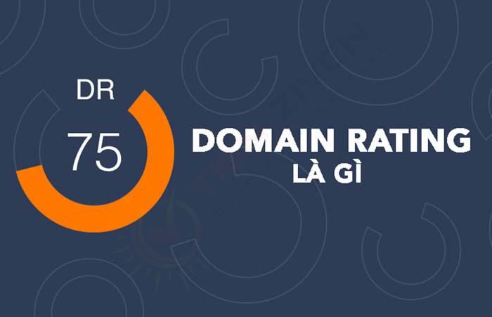 (DR) Domain Rating là gì? Cách tăng chỉ số Domain Rating 5 Domain Rating
