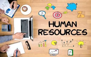Thiết kế website quản lý nhân sự