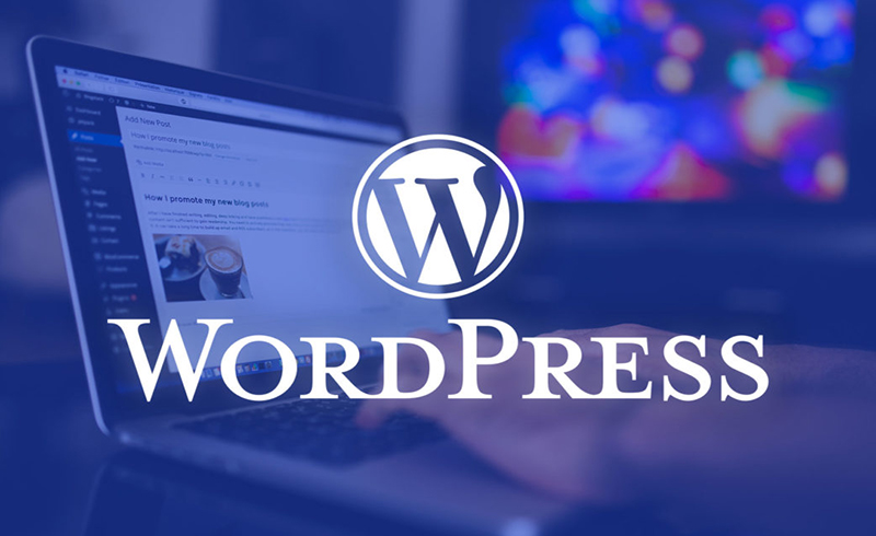 Hướng dẫn quản trị website WordPress