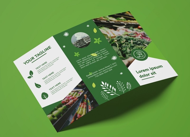Brochure là gì? Điều gì quan trọng khi thiết kế brochure? 6 Thiết kế brochure