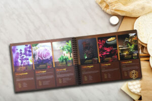 menu spa bia cung lo xo