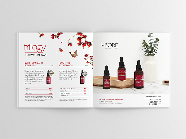 Những yếu tố làm nên thiết kế catalogue mỹ phẩm chất lượng 10 Thiết kế catalogue mỹ phẩm